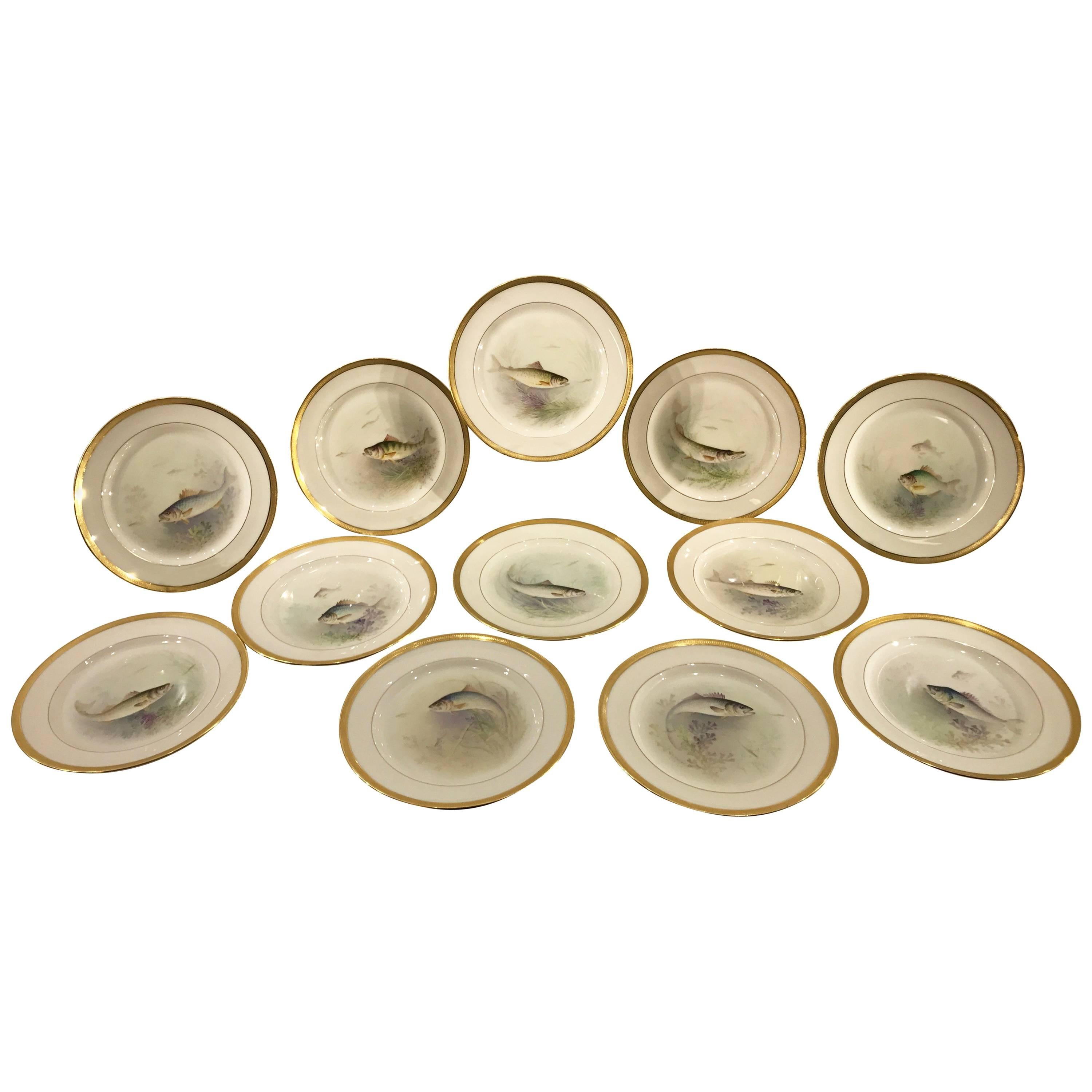 12 HandPainted W.H. Morley Specimen Fish Plates by Lenox For Sale at