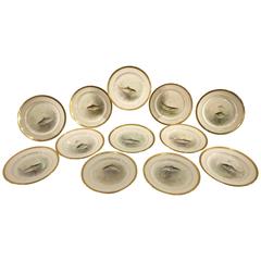 12 Hand-Painted W.H. Morley Specimen Fish Plates by Lenox 8
