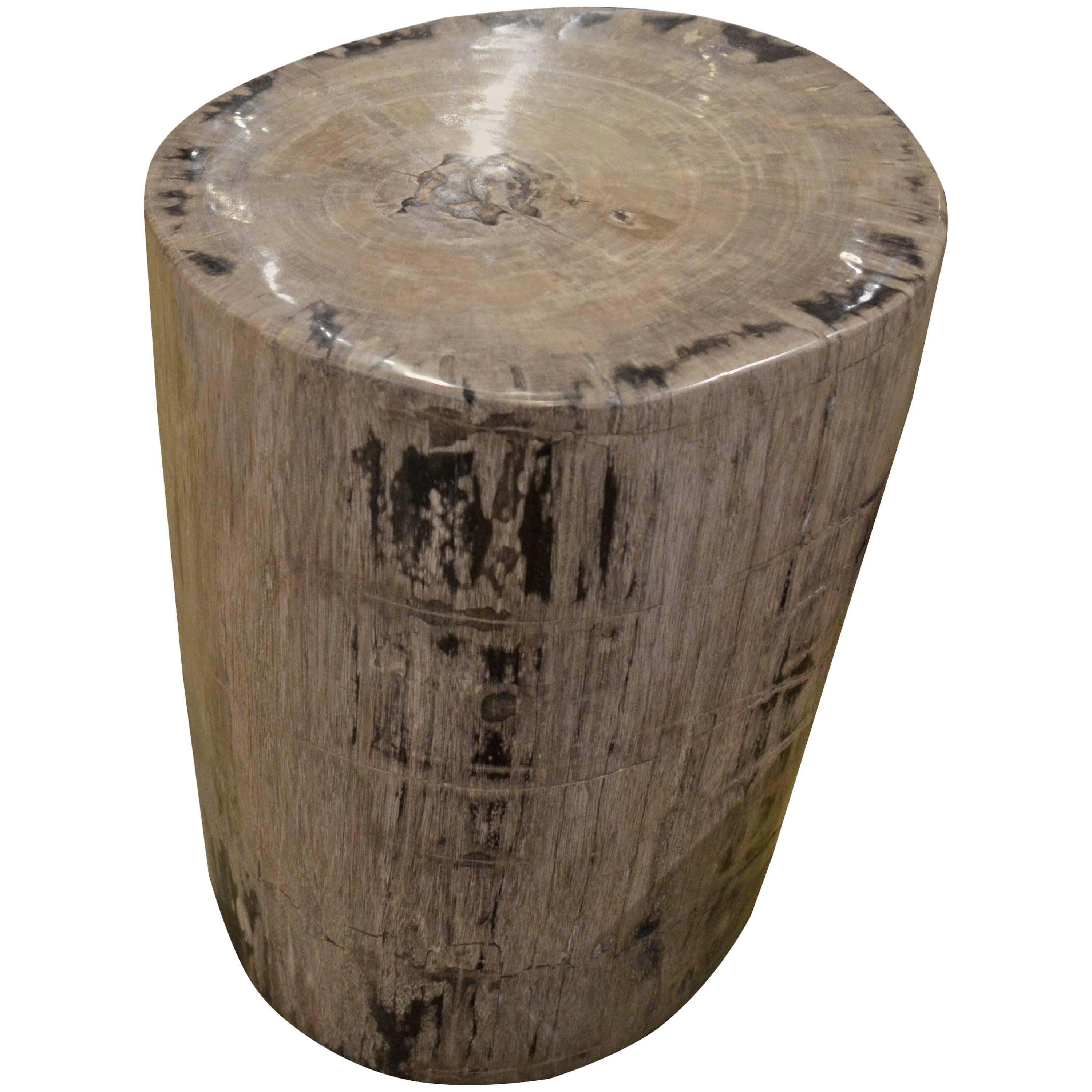 Andrianna Shamaris Grey Petrified Wood Side Table
