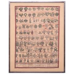 Tibetan Botanical Healer Painting 12