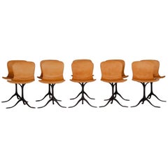 Set of 10 Brass and Leather Chairs, by P. Tendercool