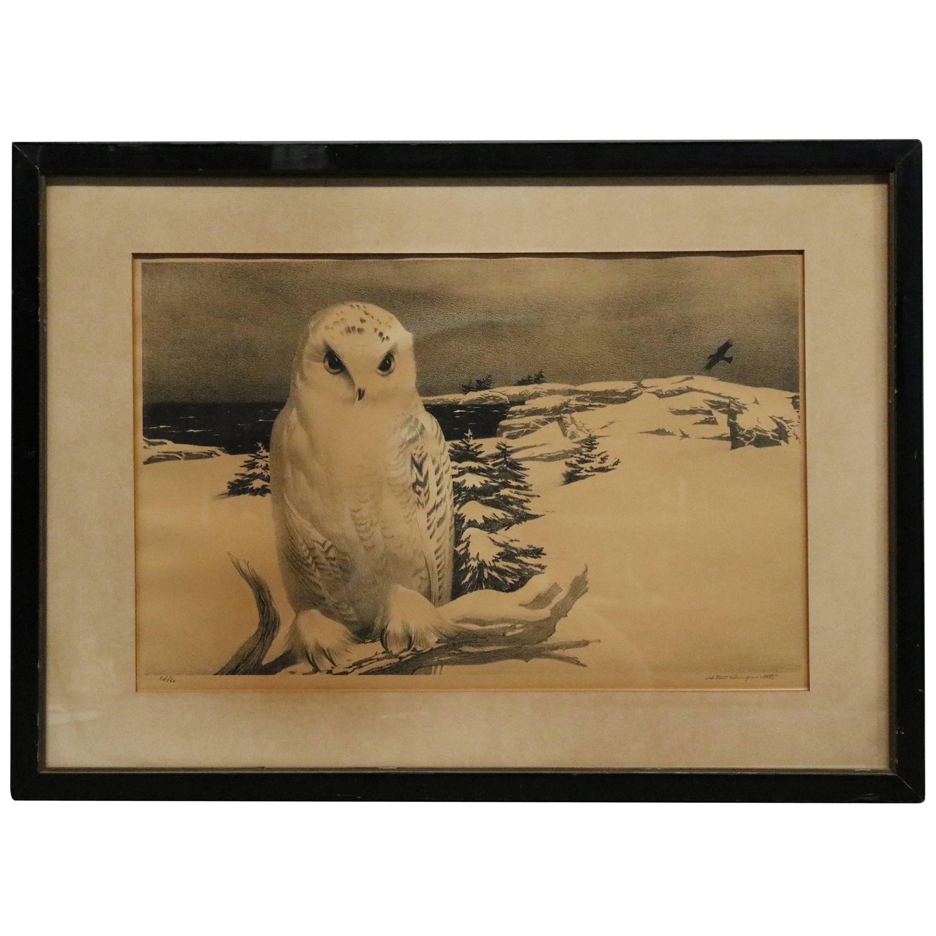 Antique Framed Lithograph of Snowy Owl by Stow Wengenroth, Signed & #'d, c1930