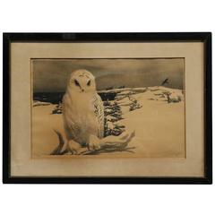 Vintage Framed Lithograph of Snowy Owl by Stow Wengenroth, Signed & #'d, c1930
