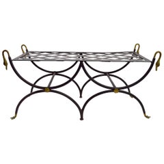 Classical Swan Head Brass and Iron Bench