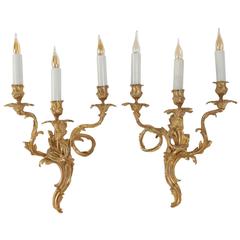 Pair of Sconces in Gold Gilt Bronze Louis XV Style, 19th Century