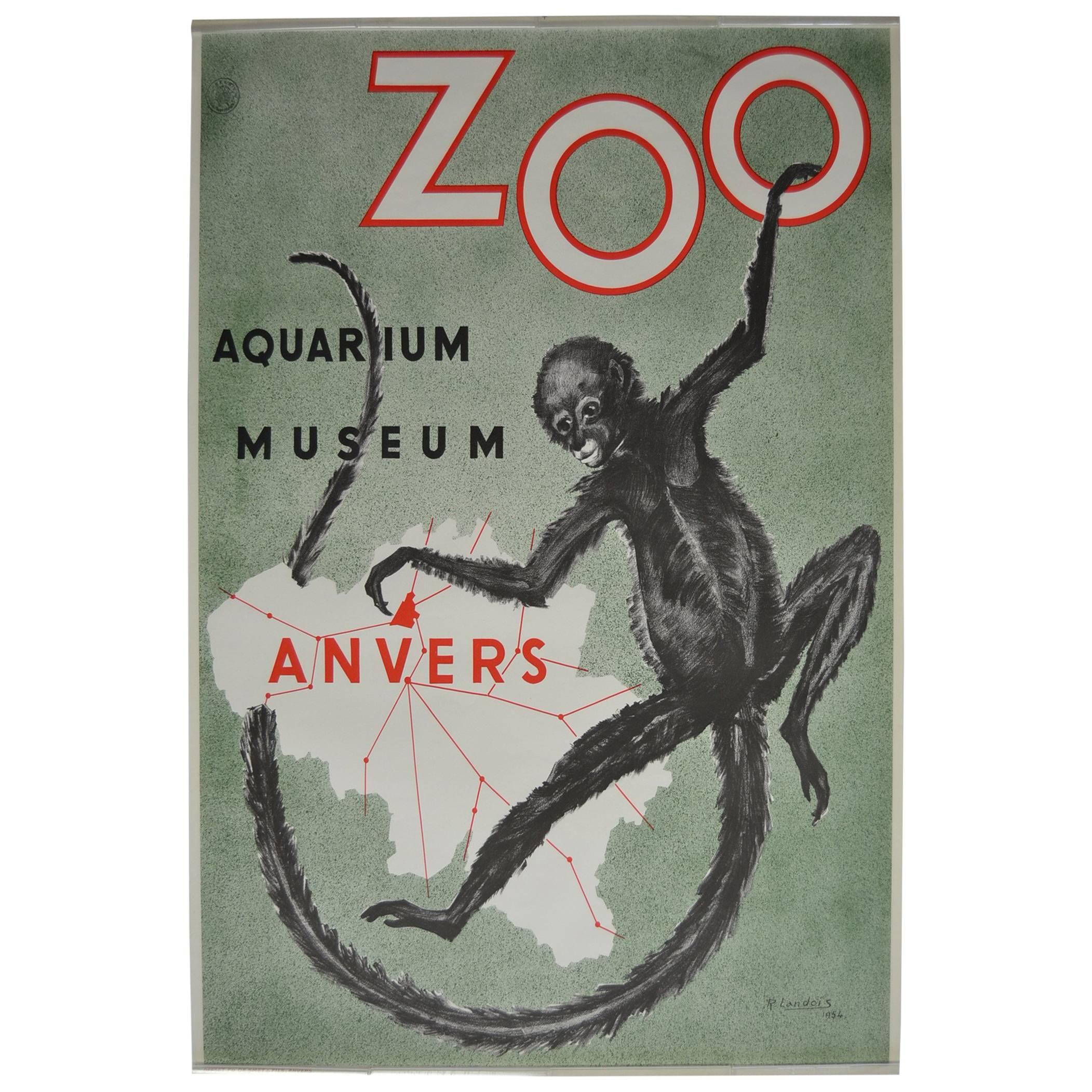 Zoo Antwerp Affiche with Monkey by R.Landois , 1954, Belgium