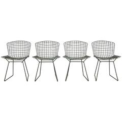 Bertoia Side Chairs for Knoll 3