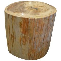 Andrianna Shamaris Petrified Wood Side Table