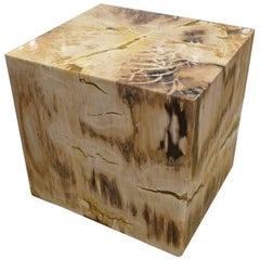 Andrianna Shamaris Petrified Wood Side Table with Cracked Resin