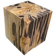 Andrianna Shamaris Petrified Wood Side Table