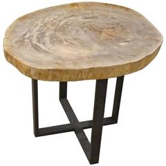 Andrianna Shamaris Petrified Wood Side Table