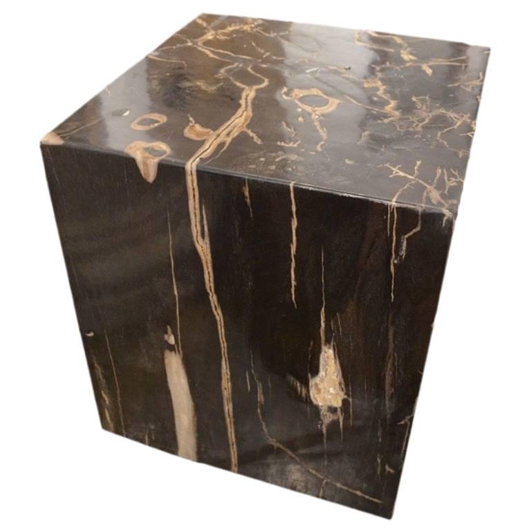 Andrianna Shamaris Petrified Wood Side Table