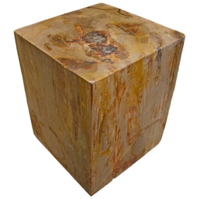 Andrianna Shamaris Petrified Wood Side Table with Cracked Resin For Sale