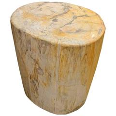 Andrianna Shamaris Petrified Wood Side Table