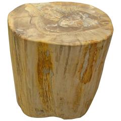 Andrianna Shamaris Petrified Wood Side Table