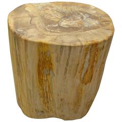 Petrified Wood Side Table 8