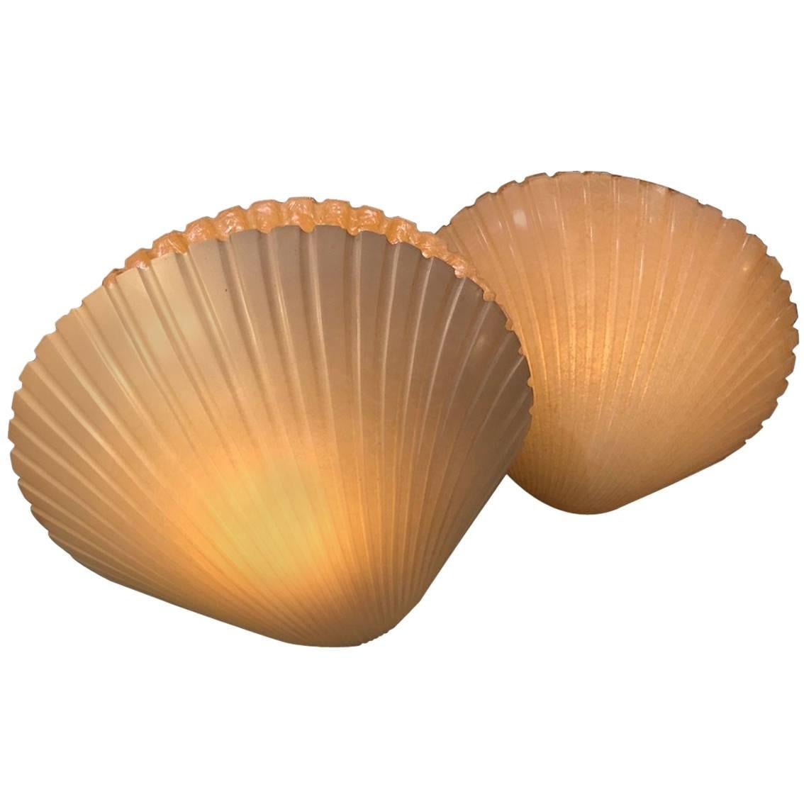 Beautiful Pair of André Cazenave Shells Table Lamp, circa 1960 For Sale