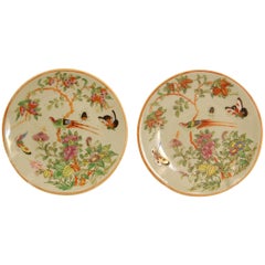 Antique Pair of Mid-19th Century Chinese Celadon Canton Famille Rose Porcelain Plates