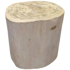 Andrianna Shamaris Petrified Wood Side Table
