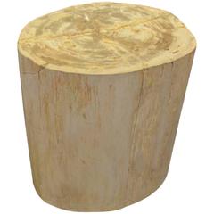 Petrified Wood Side Table