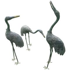 Japan Three Hand Cast Bronze CRANES Beautiful Feather and Head Details Tall 42"