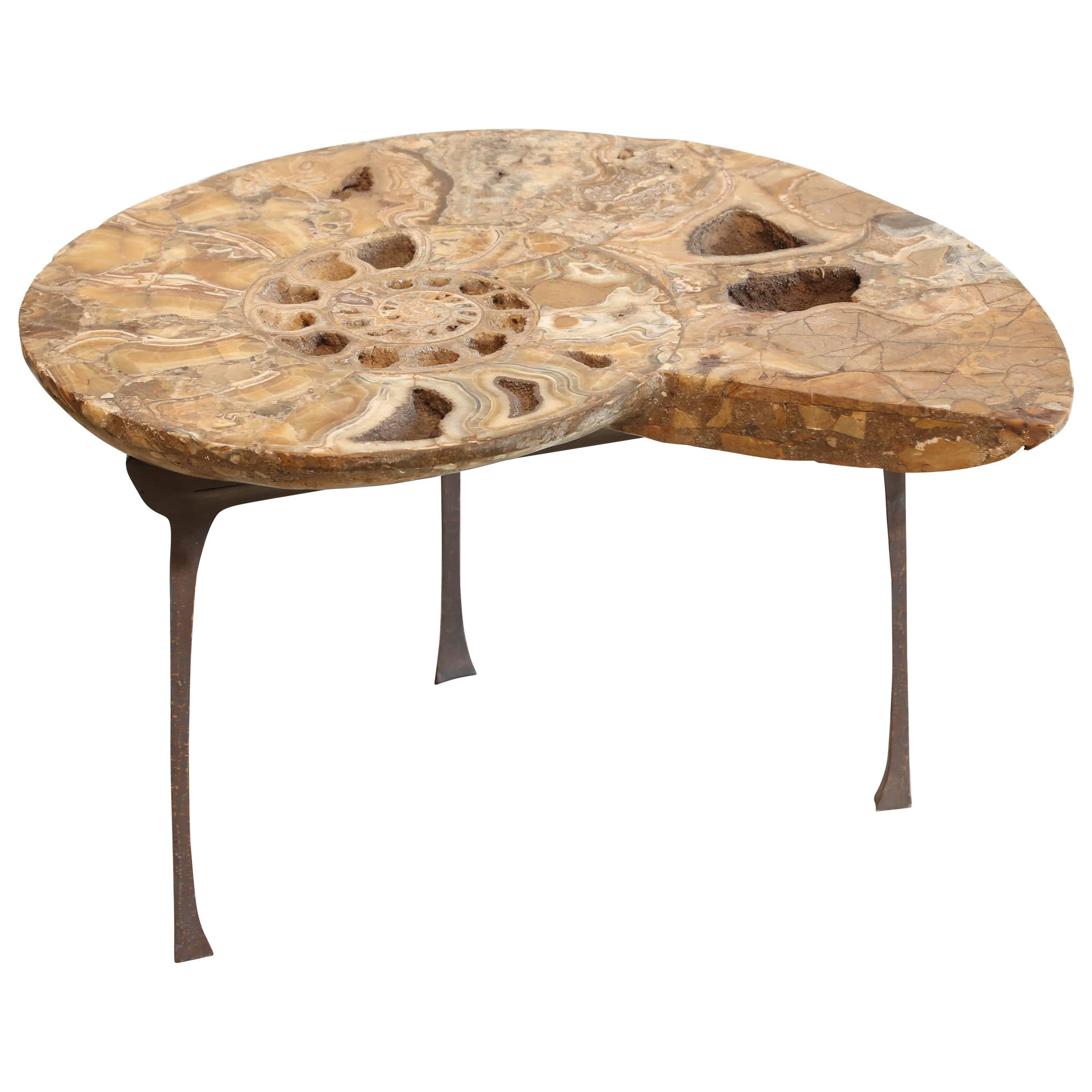 Coffee or Sofa Table a Fossil of Ammonite Standing on a Bronze Base