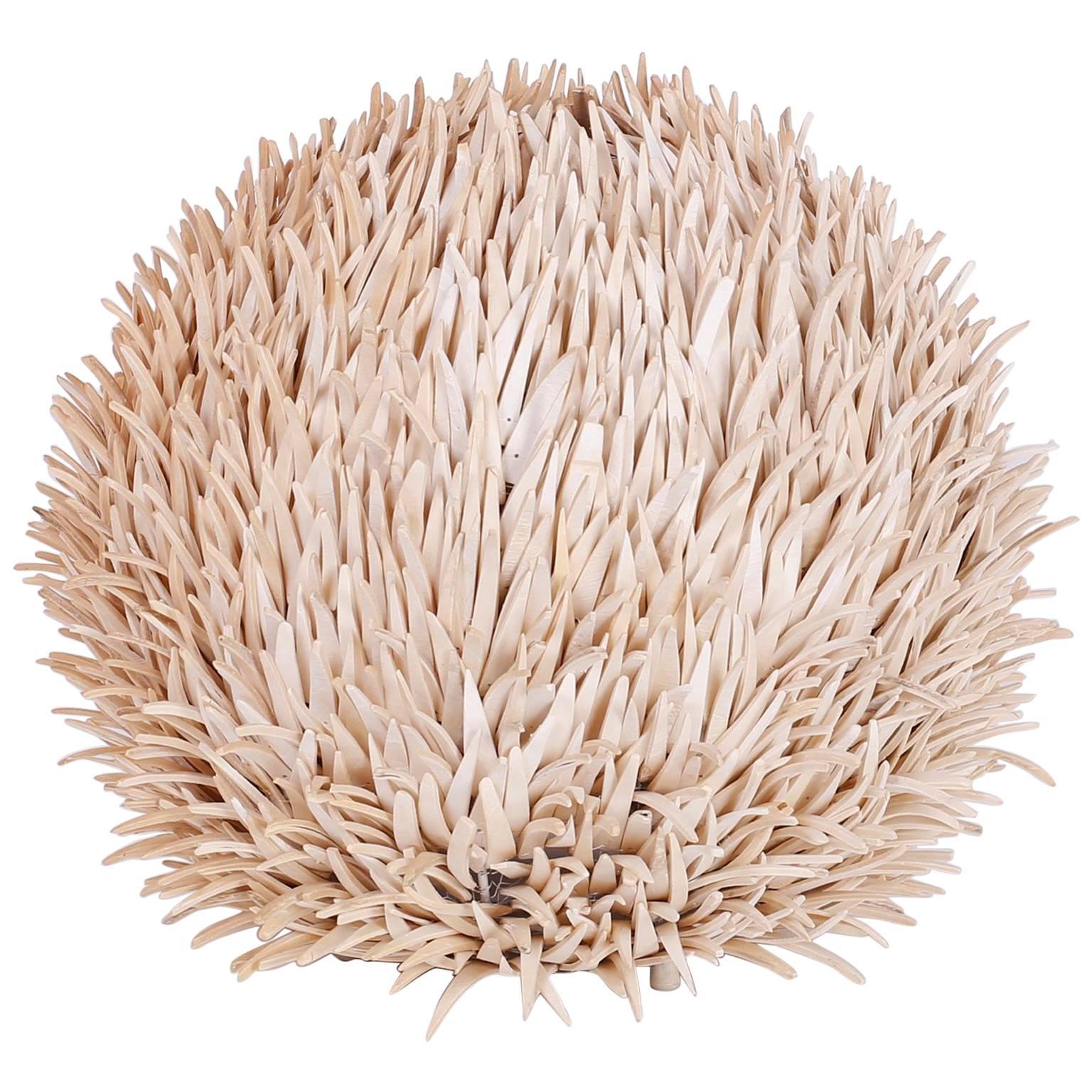 Tropical Sea Urchin Table Lamp