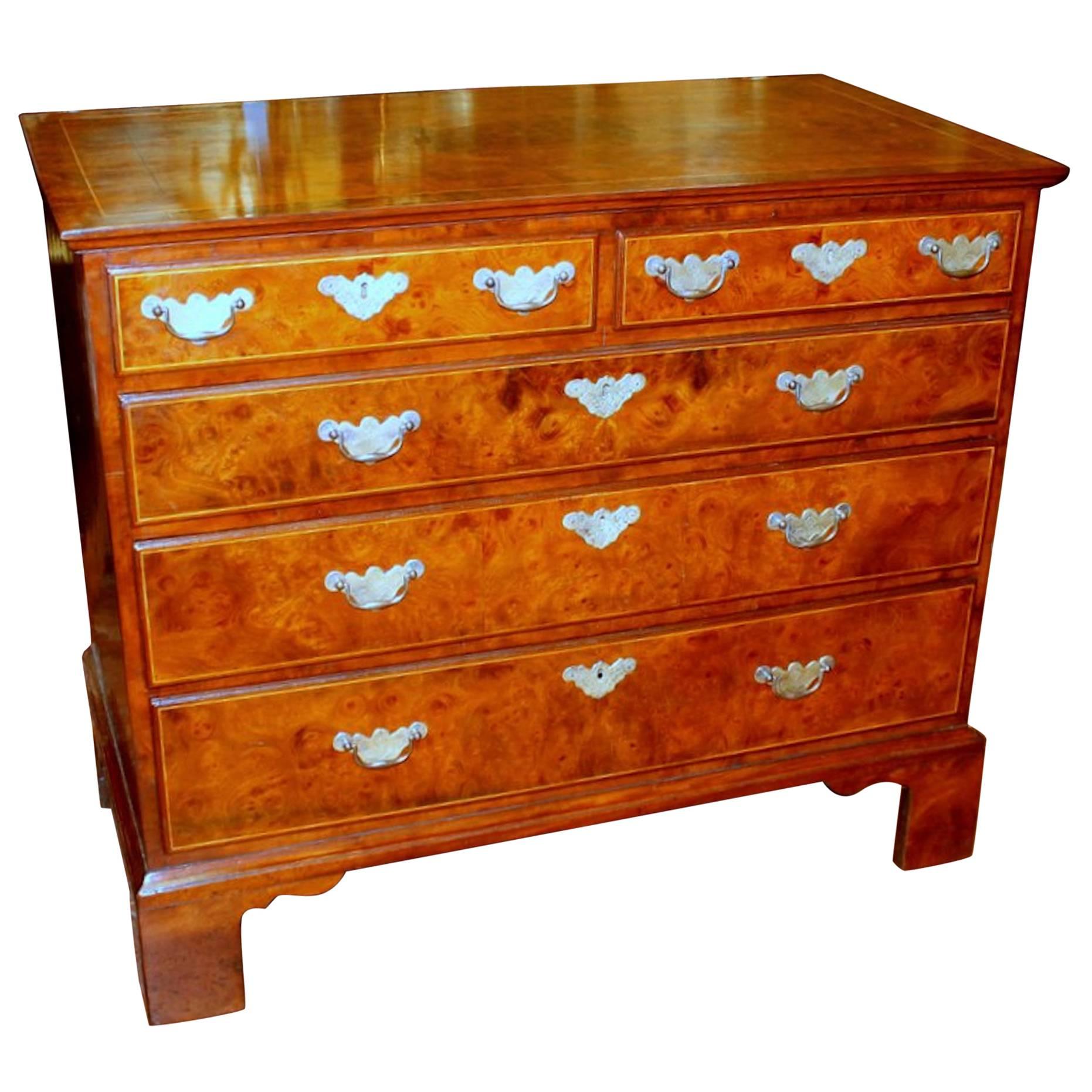 Antique English Inlaid Burr Walnut Queen Anne Revival Low Chest of Drawers