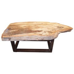 Andrianna Shamaris Single Slab Petrified Wood Coffee Table