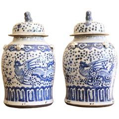 Antique Pair of 19th Century Blue and White Chinese Urns