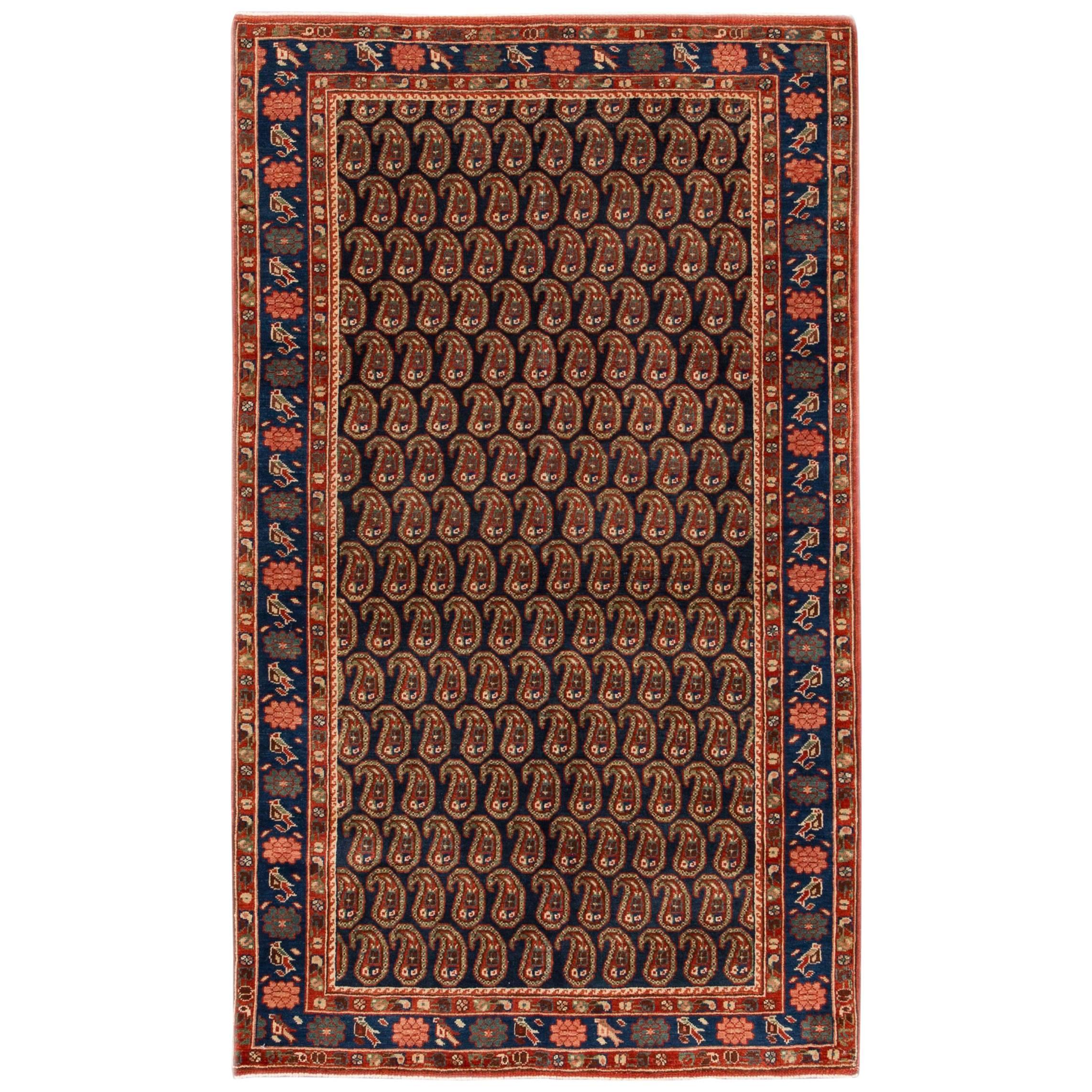 Beautifully Designed Modern Bidjar Rug For Sale