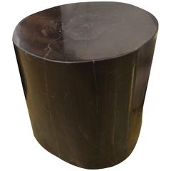 Andrianna Shamaris Super Smooth Petrified Wood Side Table