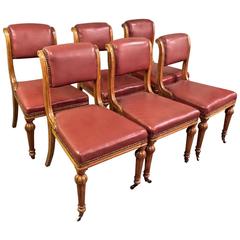 Set of Ten Late English Regency/George IV Klismos Style of Gillows Dining Chairs