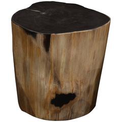 Super Smooth Petrified Wood Side Table