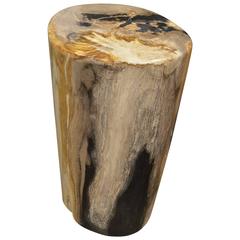 Andrianna Shamaris Super Smooth Petrified Wood Side Table