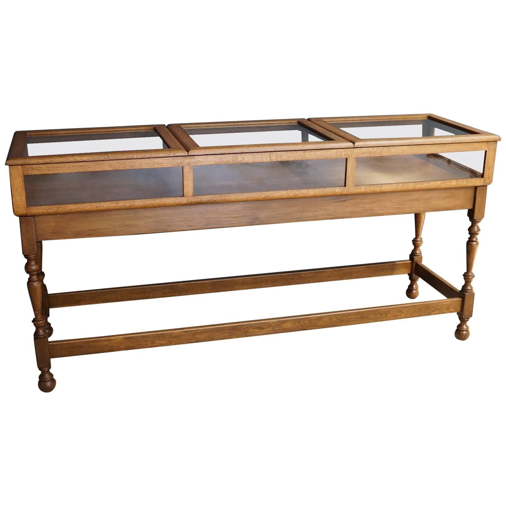 English Oak Museum Display Cabinet