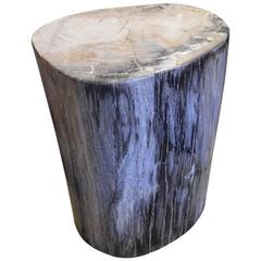 Petrified Wood Side Table 9