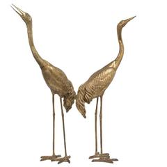Tall Pair of Bronze Crane Floor Standing Sculptures, 1970s