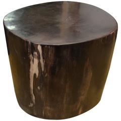Andrianna Shamaris Super Smooth Black Petrified Wood Side Table