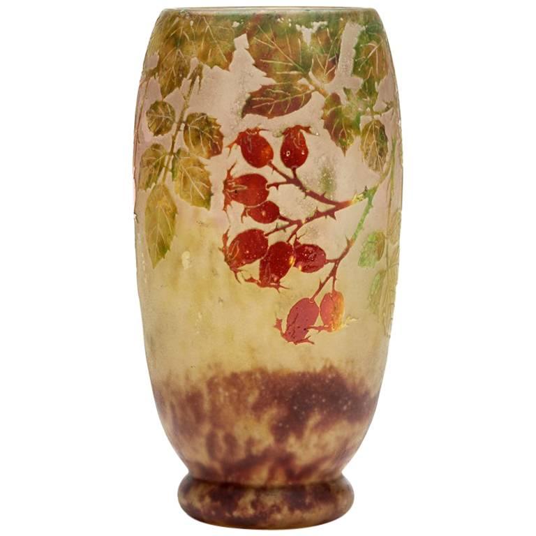 Daum Nancy Art Nouveau Rosehip Cameo Glass Vase, circa 1900 For Sale
