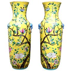 Paar chinesische Vasen aus emailliertem Porzellan der Famille Jaune:: um 1920
