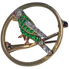 Demantoid, Diamond and Ruby Parrot Pin, circa 1920