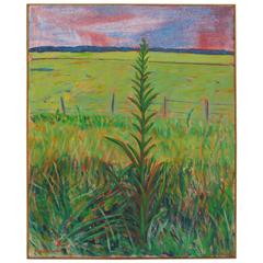 Late 20th Century Landscape Oil on Canvas by Duilio Pierri 7