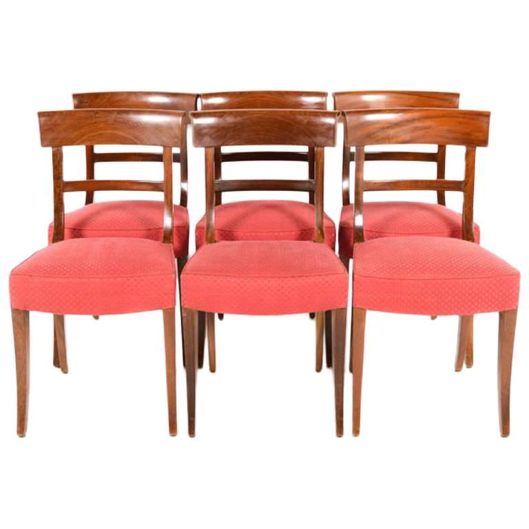 Vintage Mahogany Sabre-Leg Chairs, Set of Six, Mid-Century