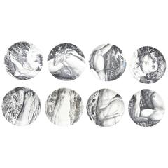 Eight Mid-Century Piero Fornasetti Porcelain Coasters "Adam"/ Barware / SALE
