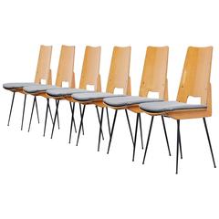 Carlo Ratti Dinner Chairs Italy, 1950 10