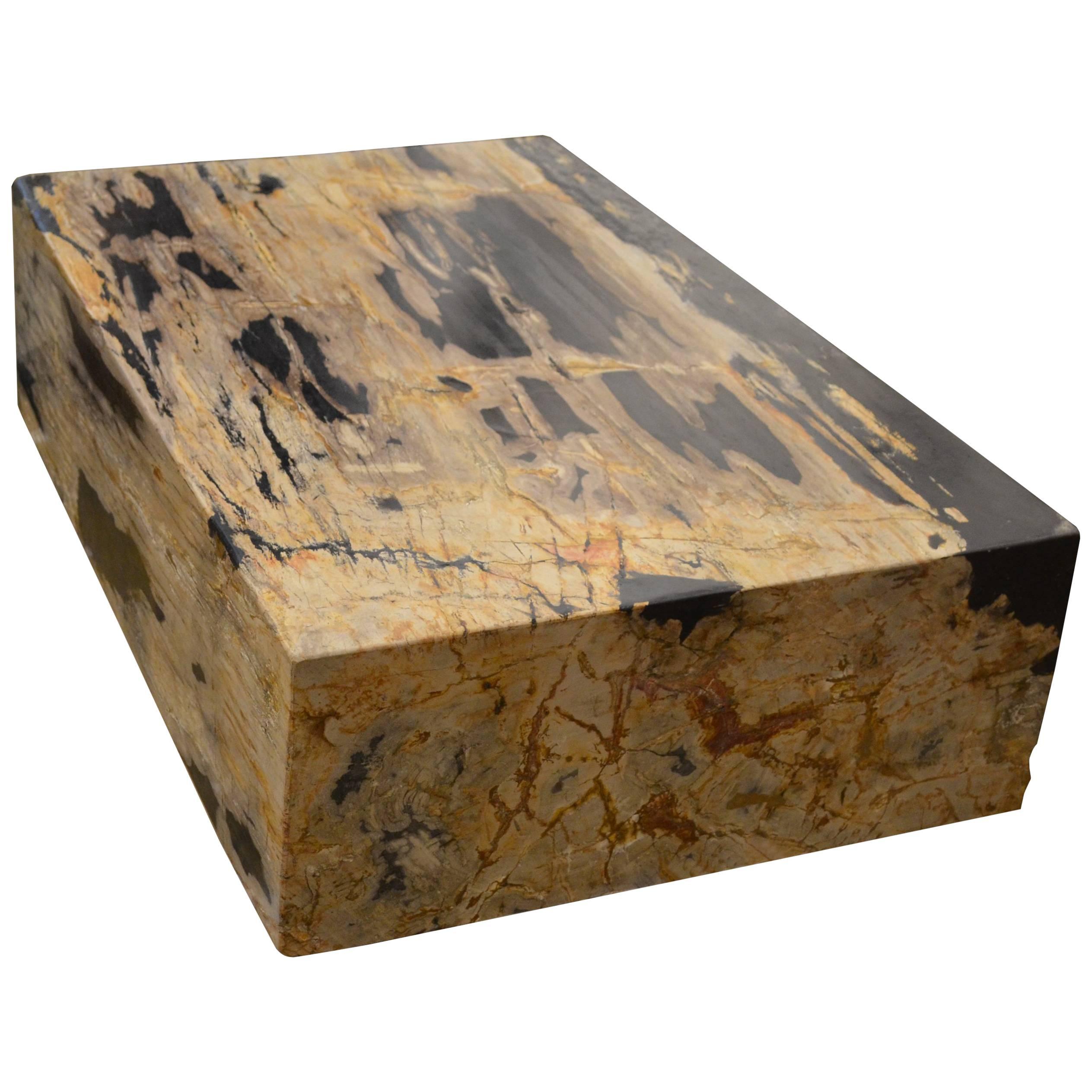 Andrianna Shamaris Petrified Wood Slab Coffee Table