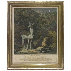 18th Century Black Forest Copperplate Johann Elias Ridinger With Hunting Scene