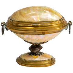 19th Century English Shell Box