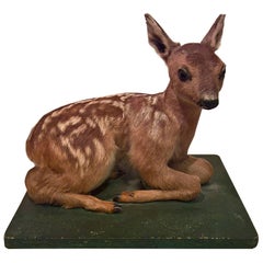 Mid-20th Century Small Taxidermy Fawn on Green Painted Plinth